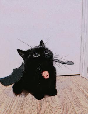 Ҫһb؈؈