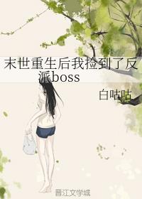 ĩғ쵽˷boss